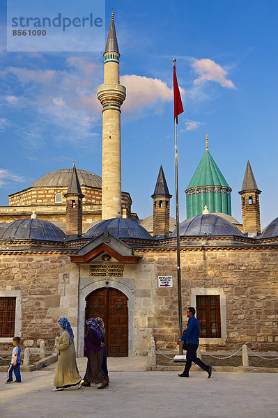Truthuhn  Konya  Türkei