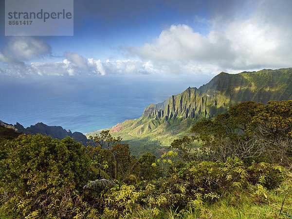 Kalalau Valley  Koke'e State Park  Kauai  Hawaii  USA