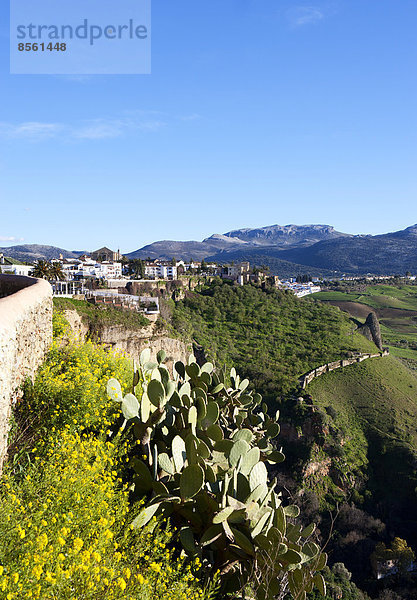 Andalusien Ronda Spanien