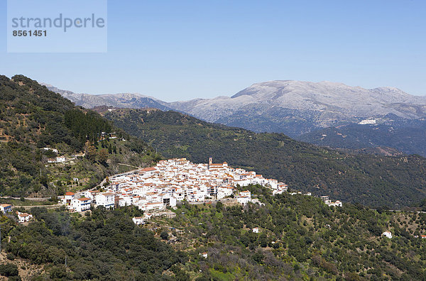 Ortsansicht Algatocin  Sierra Bermeja  Provinz Malaga  Andalusien  Spanien
