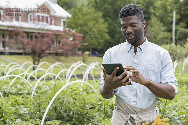 Eine biologische Gartenbau-Gärtnerei und Farm außerhalb von Woodstock. Ein Mann benutzt ein digitales Tablett.