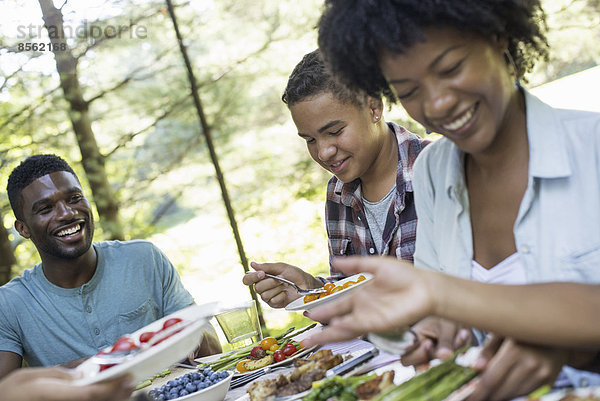 Ein Familienpicknick im Schatten hoher Bäume. Eltern und Kinder bedienen sich an frischem Obst und Gemüse.