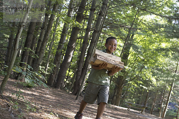 Sommer. Ein Junge  der Brennholz durch den Wald trägt.