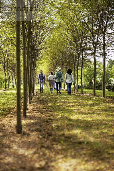 Eine Gruppe von Freunden geht eine Baumallee im Wald entlang.