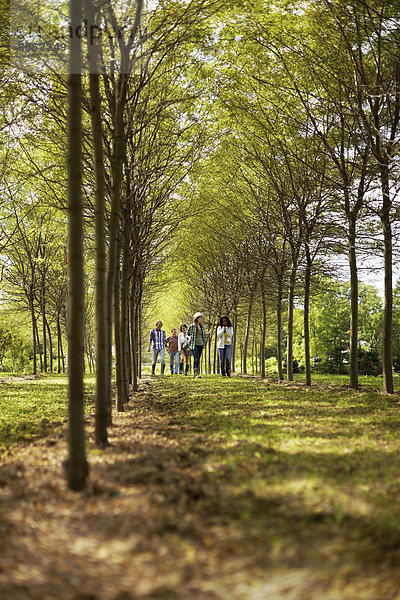 Eine Gruppe von Freunden geht eine Baumallee im Wald entlang.