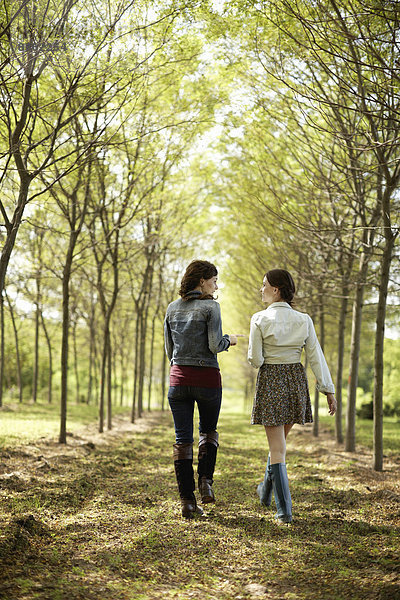 Zwei Freunde gehen einen Weg durch eine Baumallee entlang.