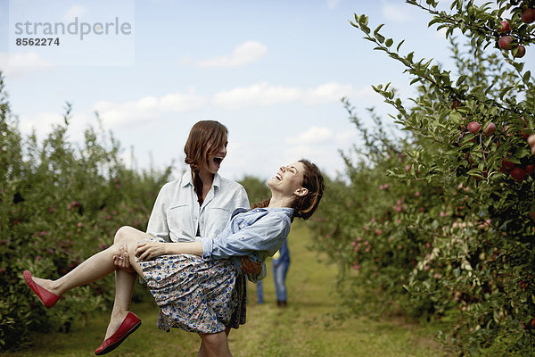 Reihen von Obstbäumen in einem biologischen Obstgarten. Zwei junge Frauen lachen  die eine trägt die andere.