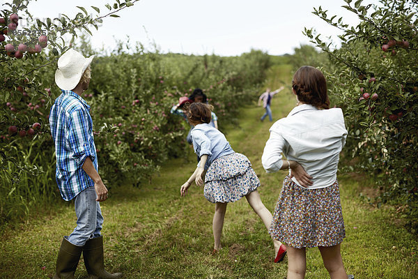 Reihen von Obstbäumen in einem biologischen Obstgarten. Ein Mann und drei junge Frauen bewerfen sich gegenseitig mit Früchten.