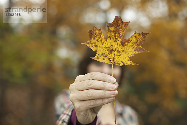 Waldland im Herbst. Eine Frau hält ein Herbstblatt  ein Ahornblatt in der Hand.