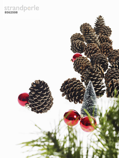 Stilleben. Grünes Blattwerk und Dekorationen. Ein Kiefernzweig mit grünen Nadeln. Weihnachtsschmuck. Tannenzapfen und kleine rot glänzende Ornamente.