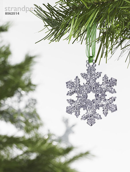 Stilleben. Grünes Blattwerk und Dekorationen. Ein Kiefernzweig mit grünen Nadeln. Weihnachtsschmuck. Eine silberne Eiszapfenform  die an einem Baum hängt.