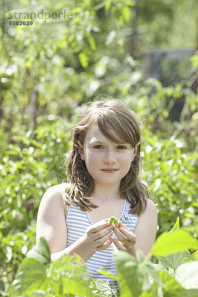 Ein junges Mädchen sitzt inmitten des frischen grünen Laubes eines Gartens. Gemüse und Blumen. Pflücken von frischem Gemüse.