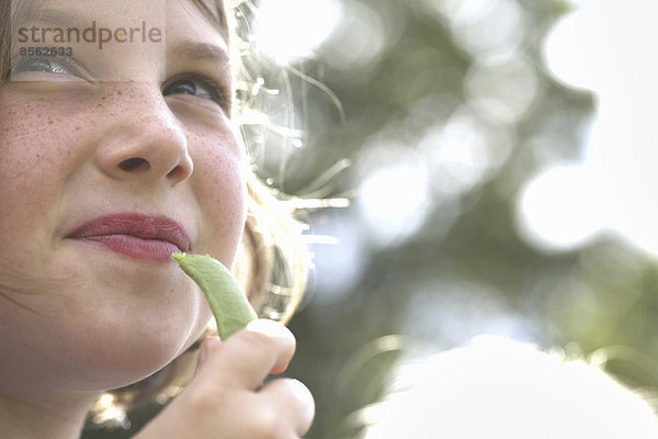 Ein Kind  ein junges Mädchen  das in einem Garten eine frisch gepflückte biologische Zuckererbse isst.