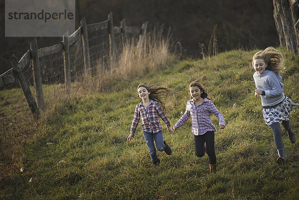 Drei Kinder rennen auf einem Biohof einen Hügel hinunter.