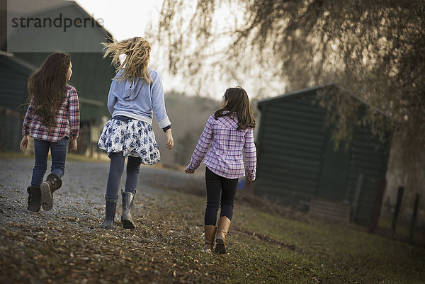 Drei Kinder  die einen Weg auf einem Biohof entlanglaufen.