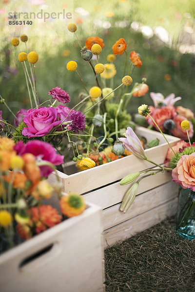 Dekorationen für den Hochzeitstisch. Ein Holzkasten mit frischen Blumen  zarten und farbenfrohen Blüten. Orange  Rosa und Violett.