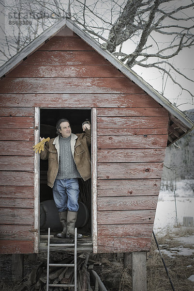 Ein Bio-Bauernhof im Hinterland von New York  im Winter. Ein Mann steht in der Türöffnung eines Hühnerstalls.