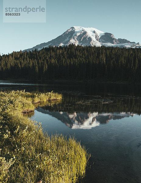 Blick auf Mount Rainier von den Reflection Lakes in der Morgendämmerung im Mount Rainier-Nationalpark.