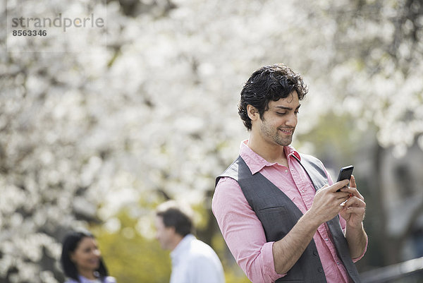 Menschen im Frühling in der Stadt im Freien. Weiße Blüte an den Bäumen. Ein junger Mann  der sein Handy überprüft.