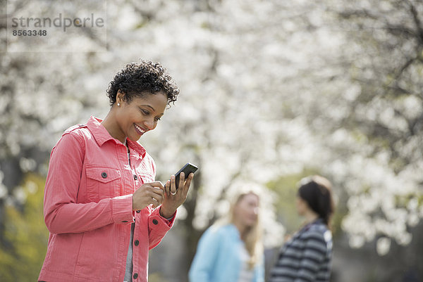 Menschen im Frühling in der Stadt im Freien. Weiße Blüte an den Bäumen. Eine junge Frau  die ihr Handy überprüft und lacht.
