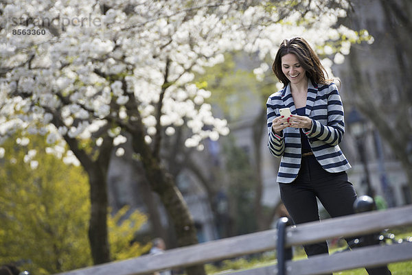 Draußen in der Stadt im Frühling. Park von New York City. Weiße Blüte an den Bäumen. Eine Frau steht und schaut auf ihr Mobiltelefon.