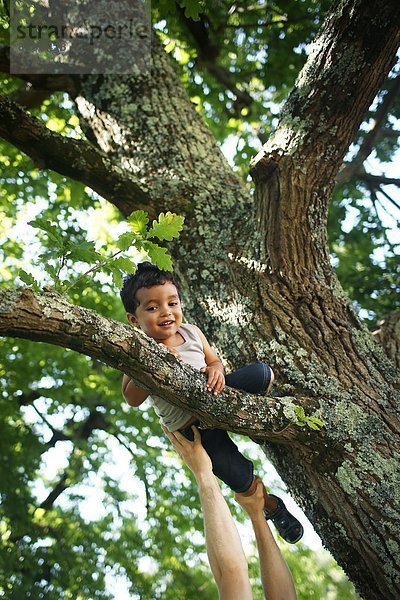 Person  die dem Jungen hilft  auf den Baum zu klettern