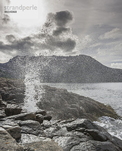 Blowhole an der Küste  Insel Senja  Troms  Norwegen