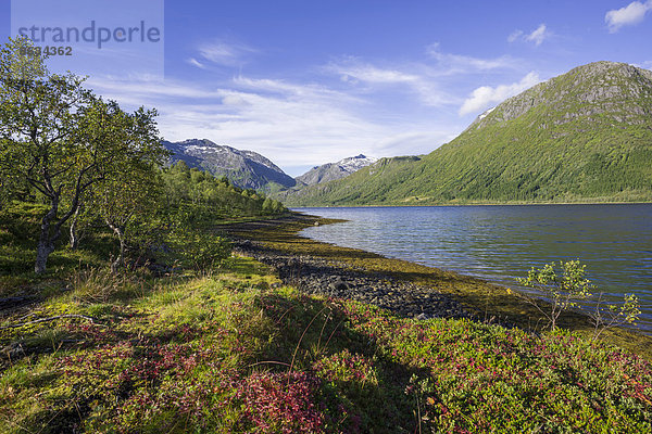 Gunnesfjord  Troms  Norwegen