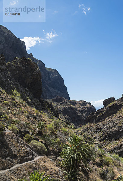Wanderweg  Masca-Schlucht  Teneriffa  Kanarische Inseln  Spanien
