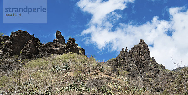Vulkangestein  Masca-Schlucht  Teneriffa  Kanarische Inseln  Spanien