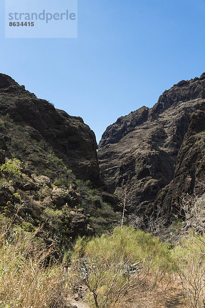 Klippe in der Masca-Schlucht  Felsenformation  Vulkangestein  Teneriffa  Kanarische Inseln  Spanien