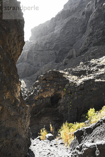 Klippe in der Masca-Schlucht  Vulkangestein  Teneriffa  Kanarische Inseln  Spanien
