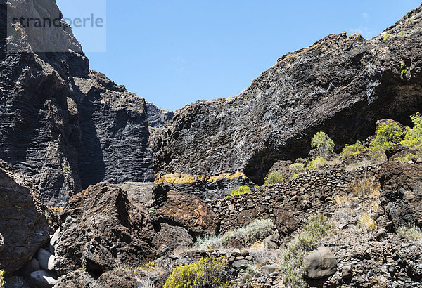 Klippe in der Masca-Schlucht  Vulkangestein  Teneriffa  Kanarische Inseln  Spanien