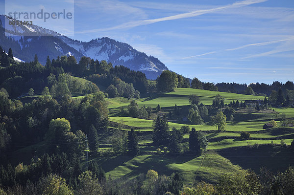 Allgäuer Landschaft  Bühl am Alpsee  Allgäu  Bayern  Deutschland