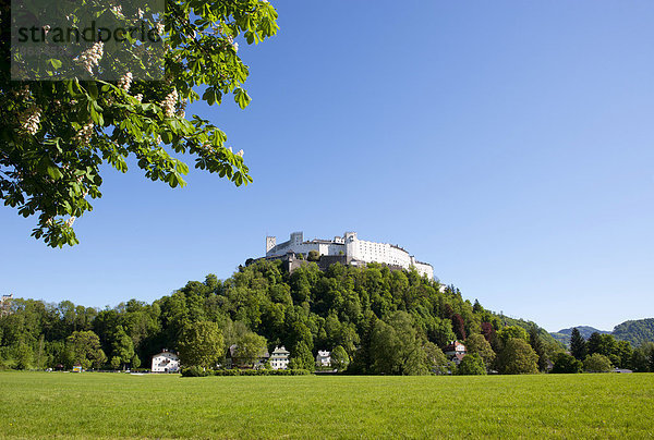 Festung Hohensalzburg  Nonntal  Salzburg  Österreich