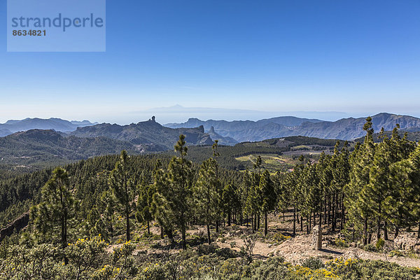 Aussicht vom Pico de las Nieves auf den Berg Roque Nublo  hinten der Teide auf der Insel Teneriffa  Gran Canaria  Kanarische Inseln  Spanien