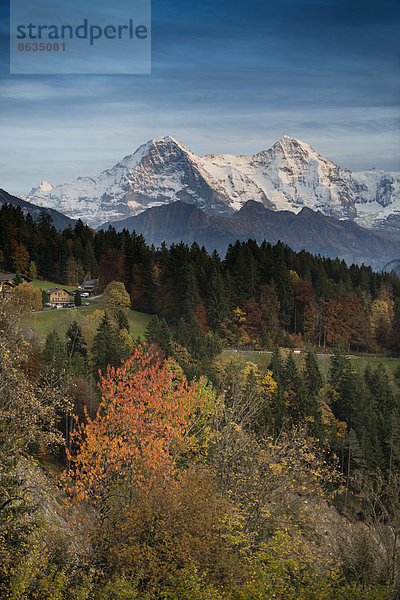 Berg Ansicht Eiger Beatenberg Berner Oberland Schweiz Kanton Bern