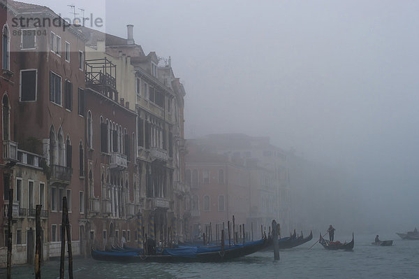 über Ehrfurcht Nebel Herbst Venetien Italien