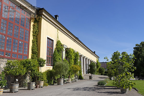 Botanischer Garten Botanische Garten Orangerie Schweden Universität Uppsala