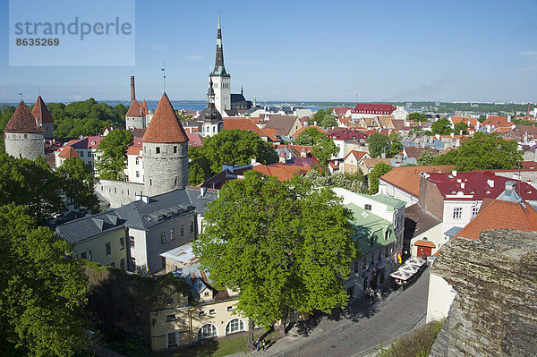 Ausblick vom Domberg auf die Unterstadt  Altstadt  Tallinn  Estland  Baltikum