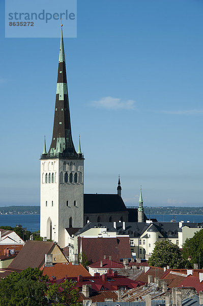 Ausblick vom Domberg  Olaikirche  Tallinn  Estland  Baltikum