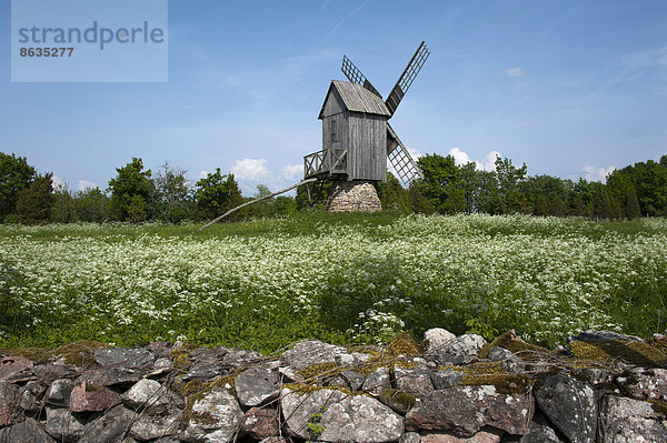 Windturbine Windrad Windräder Estland