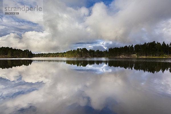 Stora Tresticklan See mit dramatischer Wolkenstimmung und Spiegelung  Nationalpark Tresticklan  Dalsland  Västra Götaland  Schweden