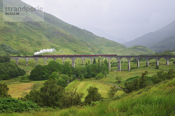 Der Jacobite Steam Train fährt über das Glenfinnan Viaduct  bekannt aus den Harry Potter Filmen  Ross  Skye and Lochaber  Highlands  Schottland  Großbritannien