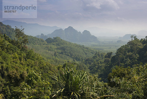 Berglandschaft  Nationalpark Khlong Sok  Ban Khao Ba  Phang Nga  Surat Thani  Thailand