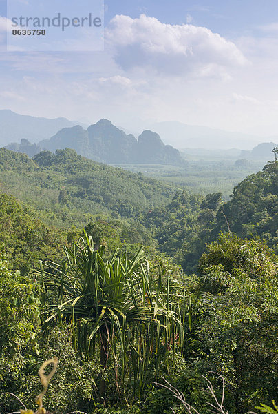 Berglandschaft  Nationalpark Khlong Sok  Ban Khao Ba  Phang Nga  Surat Thani  Thailand