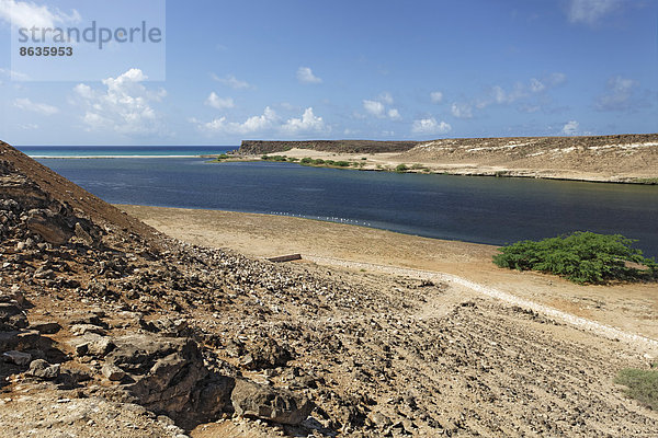 Wadi Darbat  bei Salalah  Region Dhofar  Sultanat von Oman  Arabische Halbinsel