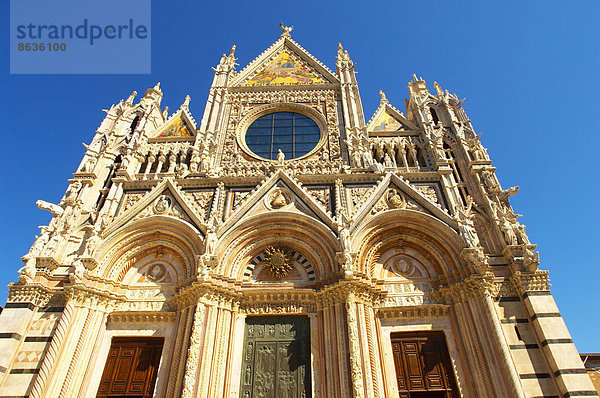 Dom von Siena  Kathedrale  Siena  Toskana  Italien