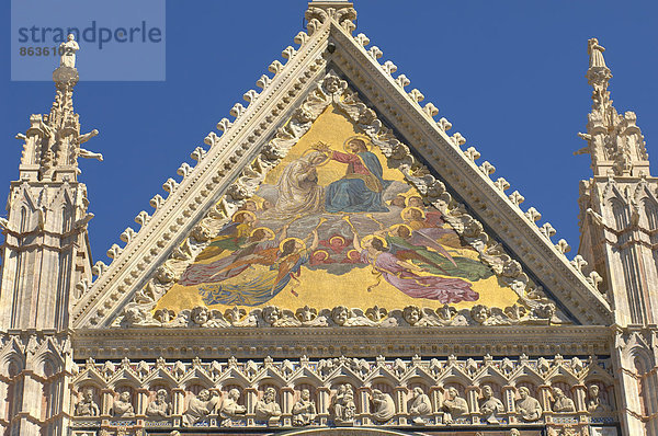 Dom von Siena  Kathedrale  Siena  Toskana  Italien