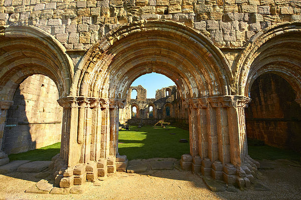 Romanischer Bogen in den Ruinen von Fountains Abbey  North Yorkshire  England  Großbritannien